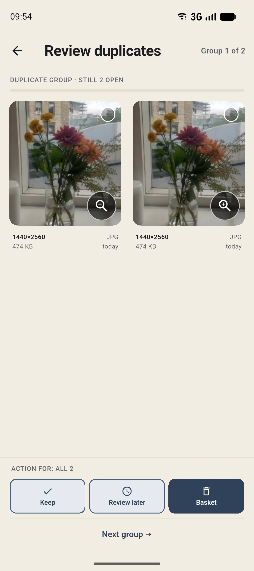 Duplicate review in Curalbum: two identical flower photos side by side. The example photos shown were created with AI.