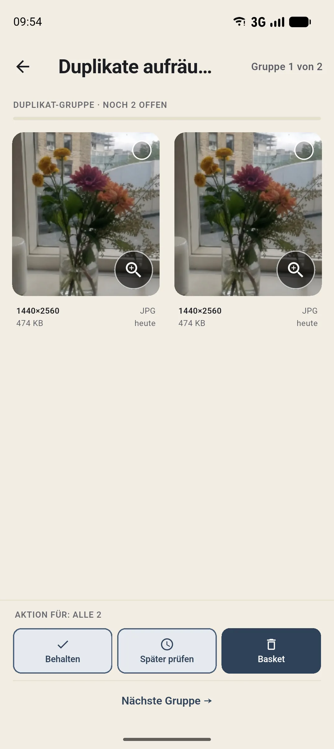 Duplikat-Review in Curalbum: zwei identische Blumenfotos nebeneinander. Die gezeigten Beispielfotos wurden mit KI erstellt.