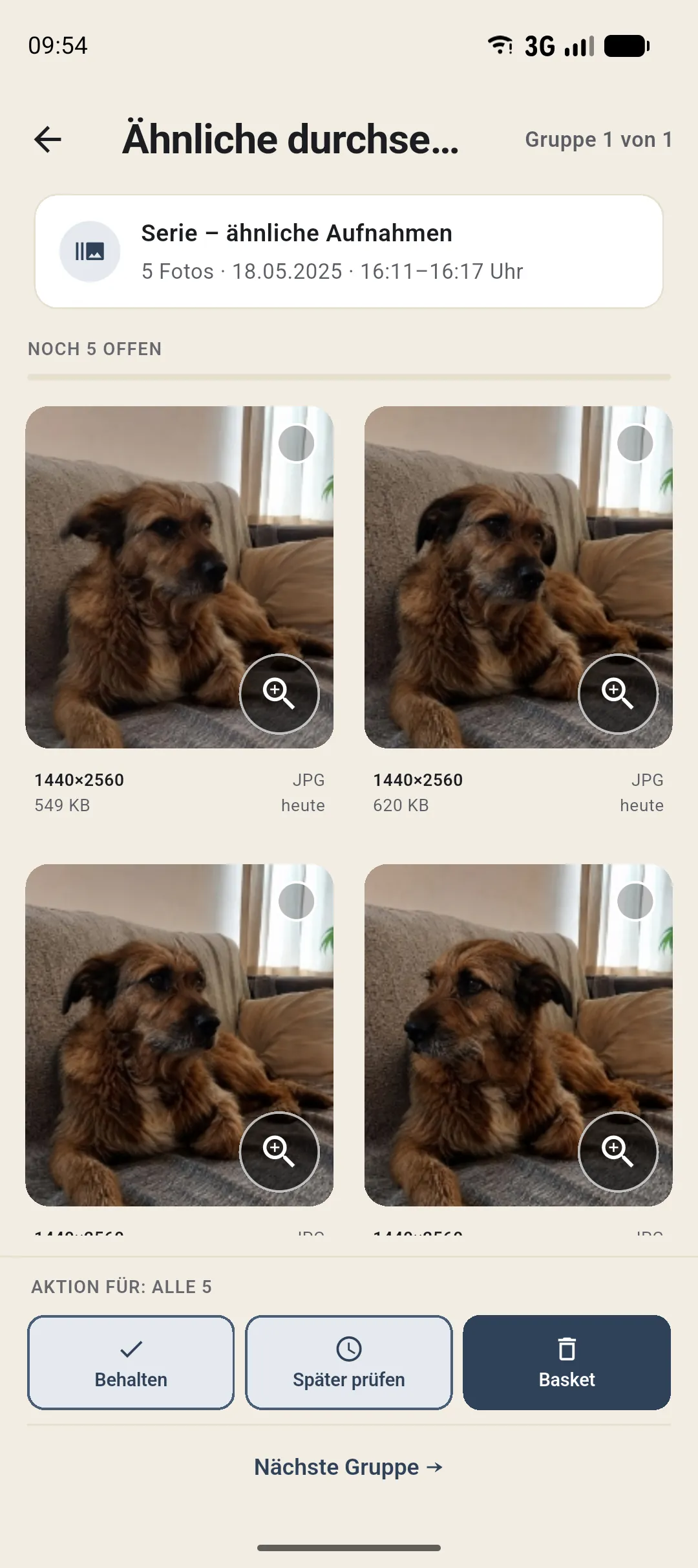 Ähnliche Serie in Curalbum: fast gleiche Hundefotos im Vergleich. Die gezeigten Beispielfotos wurden mit KI erstellt.