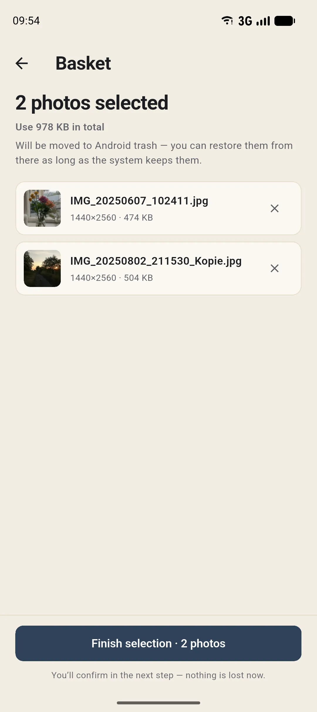Basket in Curalbum: sorted-out duplicates waiting for your confirmation. The example photos shown were created with AI.