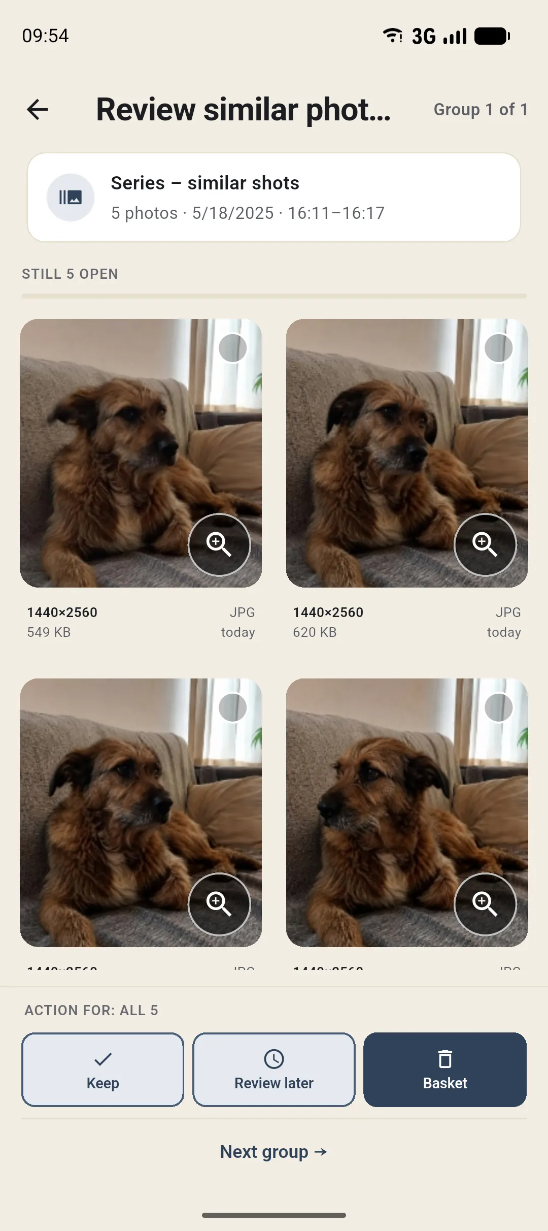 Similar series in Curalbum: near-identical dog photos in comparison. The example photos shown were created with AI.